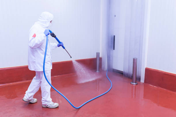 Best Solar Panel Cleaning  in Raoul, GA