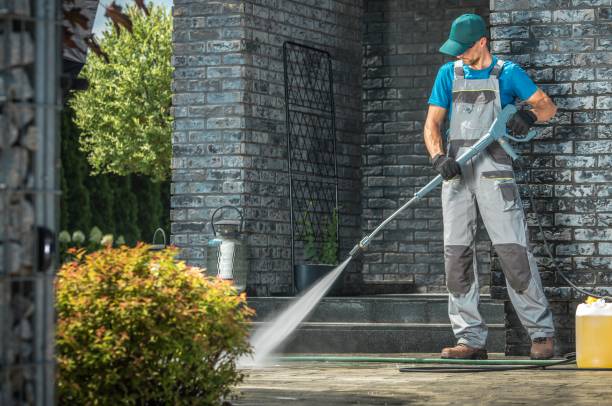 Best Soft Washing  in Raoul, GA