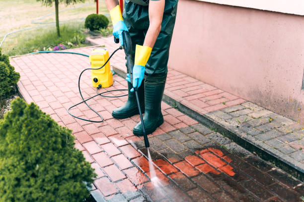 Professional  Pressure Washing Services in Raoul, GA