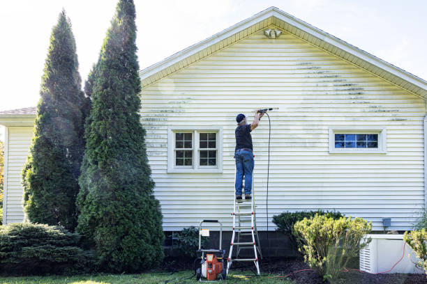 Best Sidewalk and Walkway Cleaning  in Raoul, GA